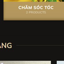 CHĂM SÓC TÓC